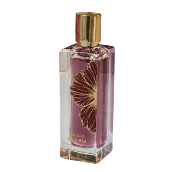 Ibisco Nirvana By Paris Corner