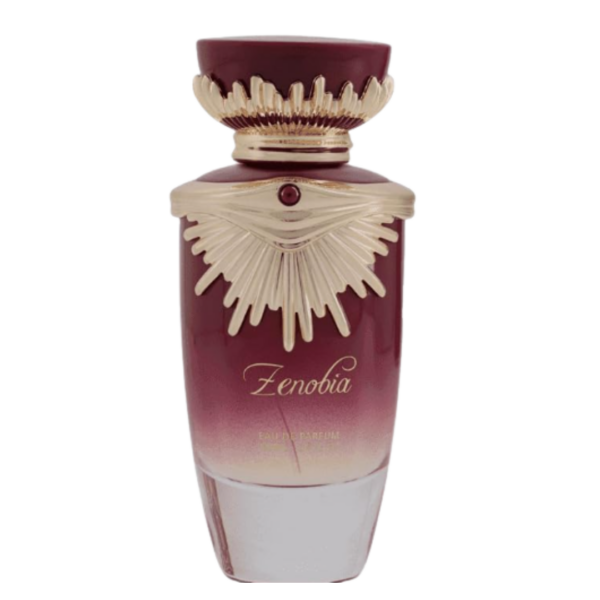 Zenobia By Gulf Orchid