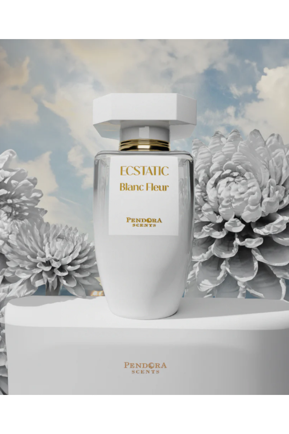 ECSTATIC BLANC FLEUR