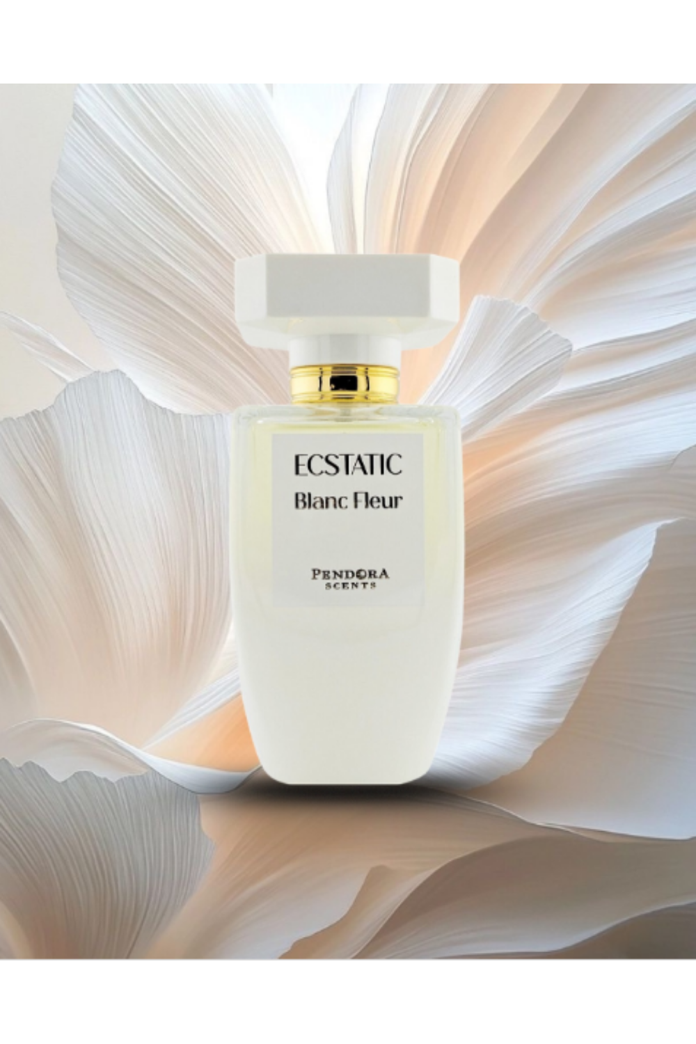 ECSTATIC BLANC FLEUR