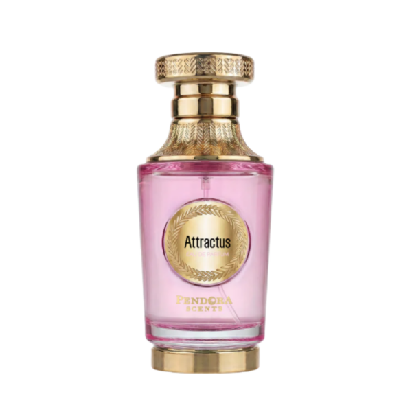 Pendora Scents - Attractus By Paris Corner