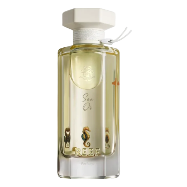 Sea Or By Reef Perfumes